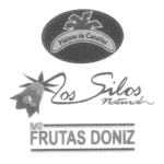 logo-cliente-doniz-325x325